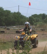 quad1.jpg